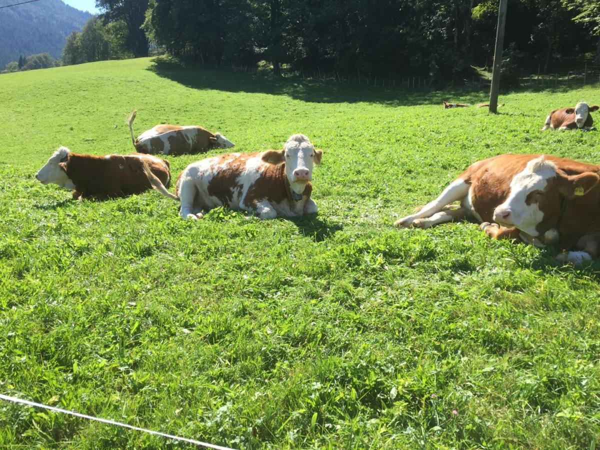Ferienwohnung Roislerlehen Bischofswiesen Luaran gambar